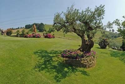 Jardin 2